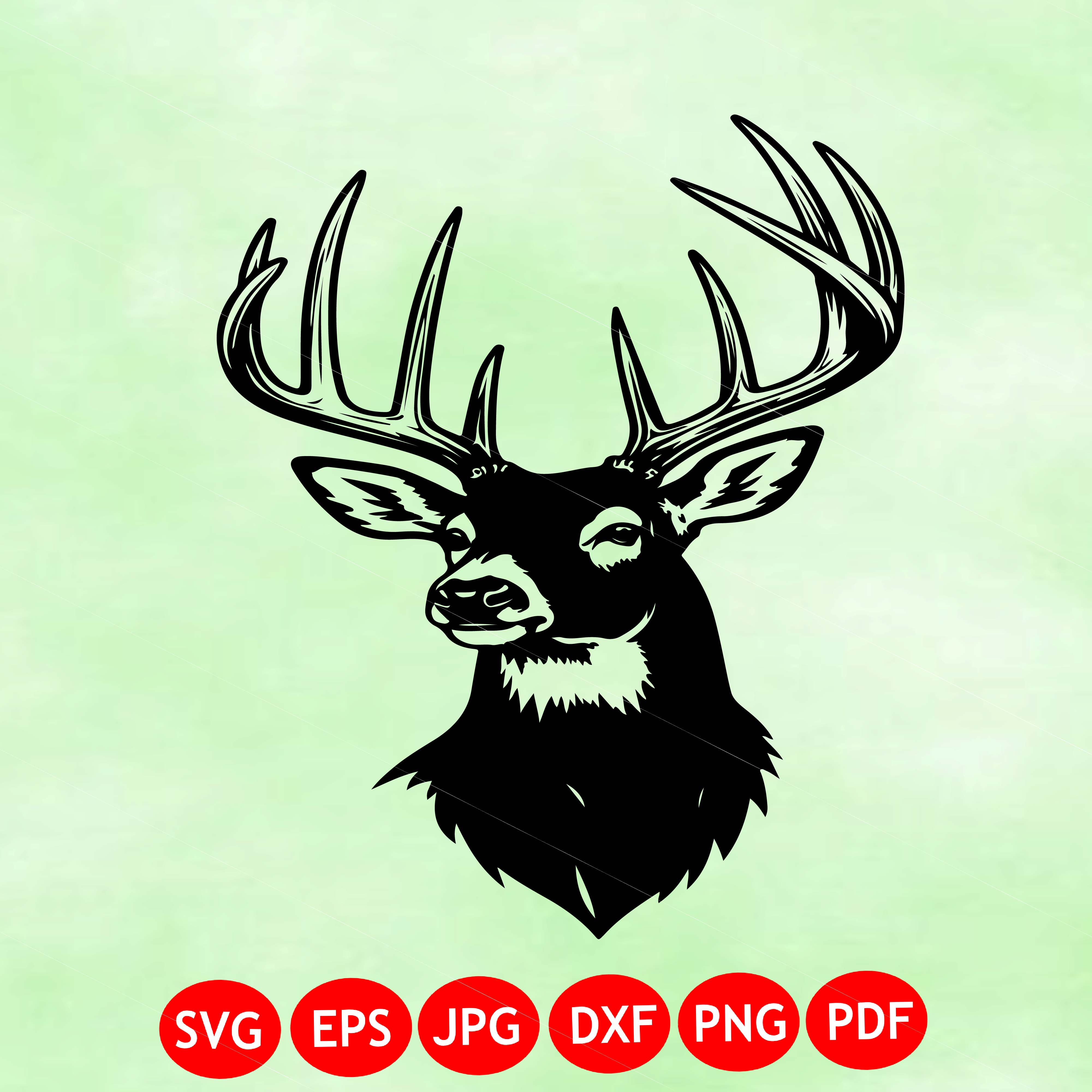 Whitetail Deer SVG Vector