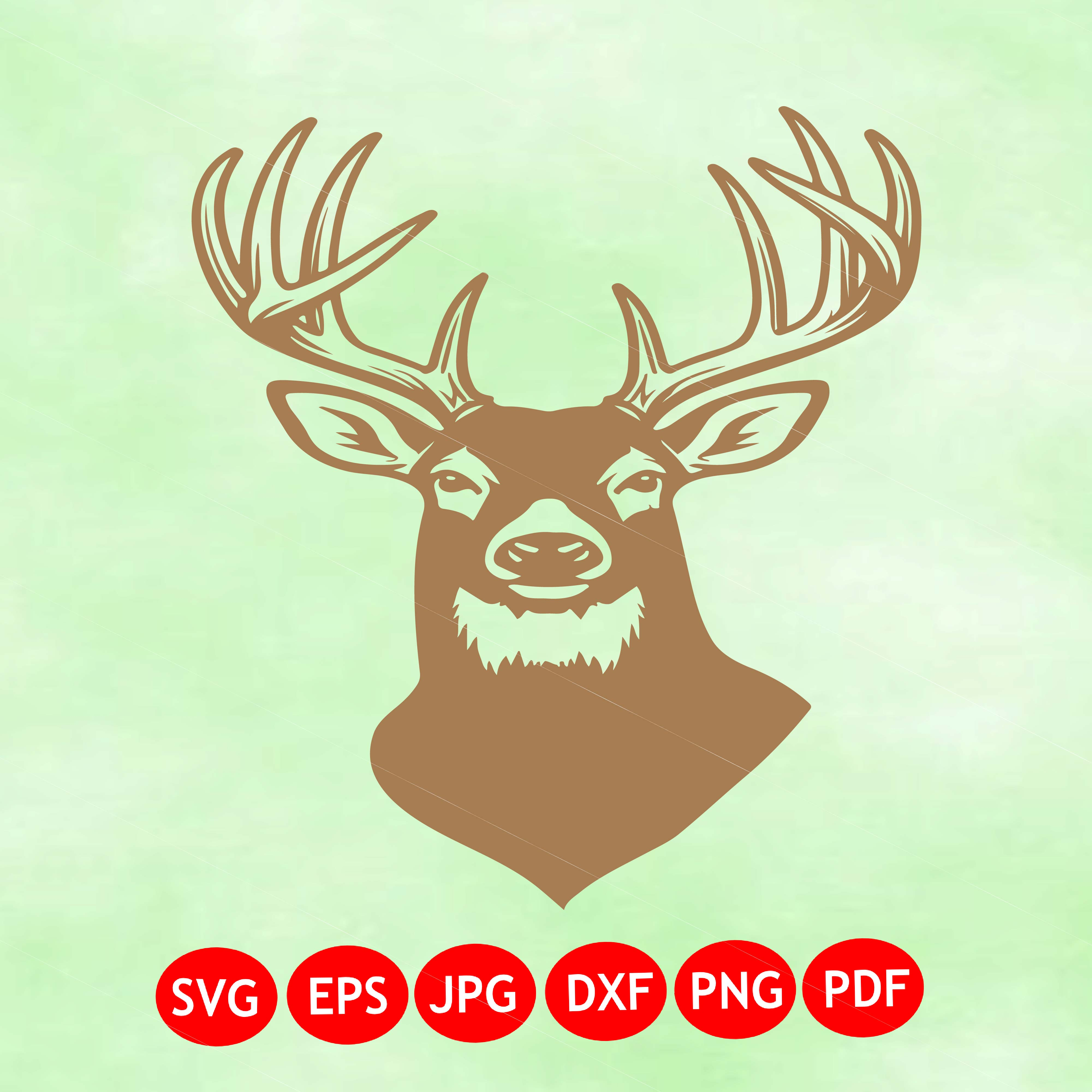 Mature Buck Deer SVG