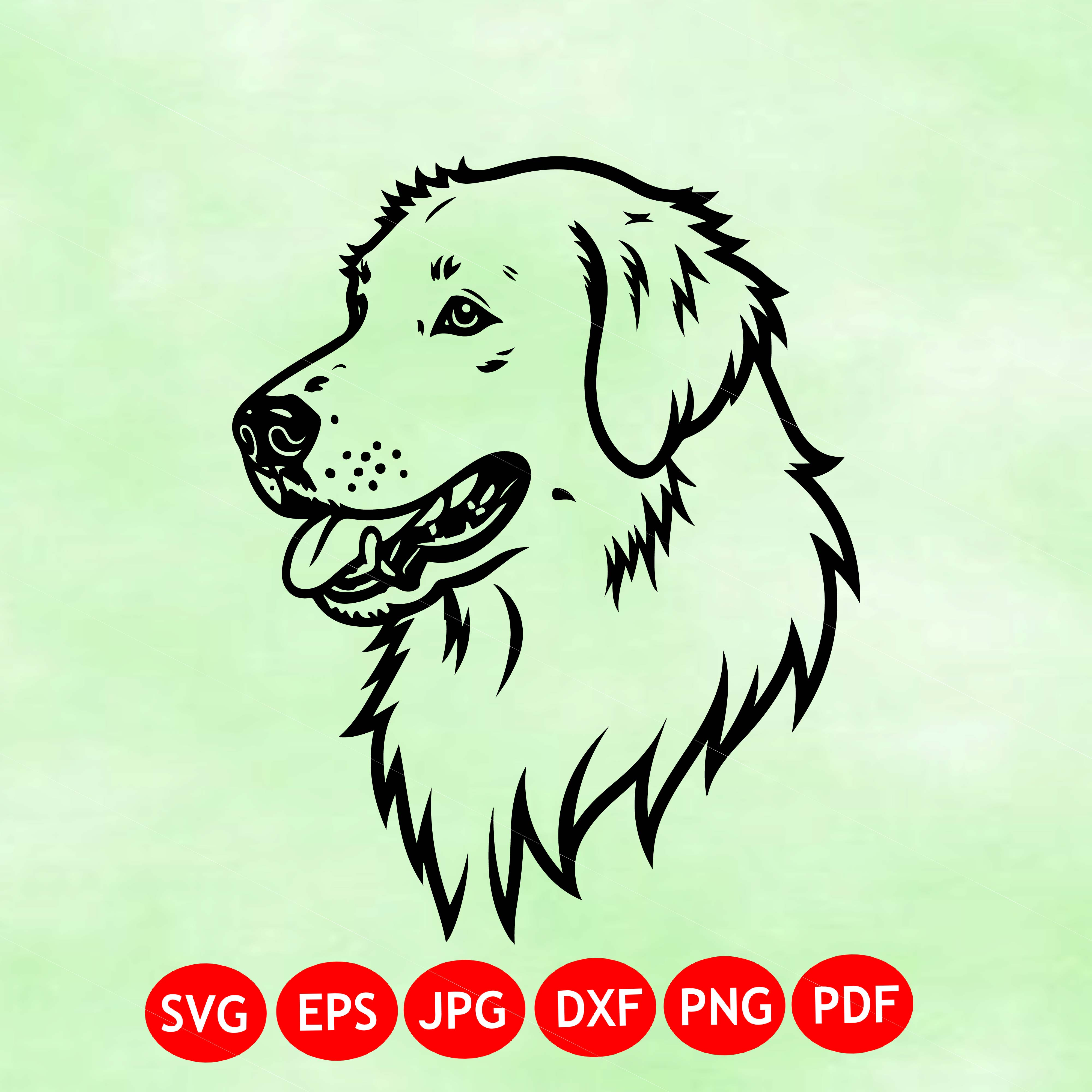 Golden Retriever Portrait SVG